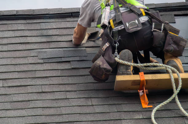 Best Roof Waterproofing  in Mcclure, PA